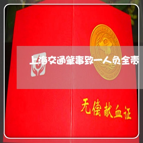 上海交通肇事致一人负全责/2023031710382