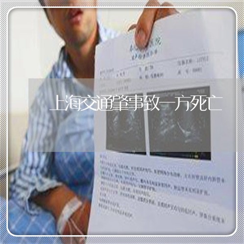 上海交通肇事致一方死亡/2023022817048 上海交通肇事致一方死亡/2023022817048