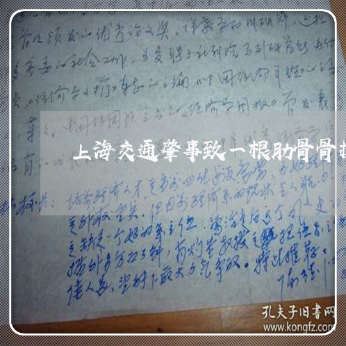上海交通肇事致一根肋骨骨折/2023033084047