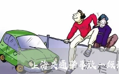 上海交通肇事致一级残赔偿/2023031724825 上海交通肇事致一级残赔偿/2023031724825