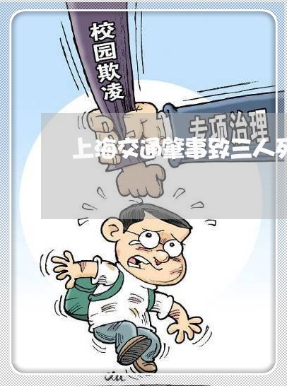 上海交通肇事致三人死亡逃逸/2023033073737