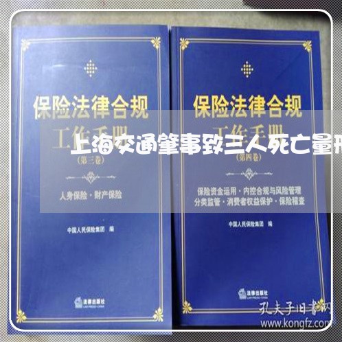 上海交通肇事致三人死亡量刑/2023033057372