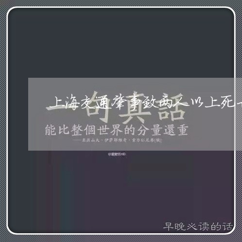 上海交通肇事致两人以上死亡/2023033006237