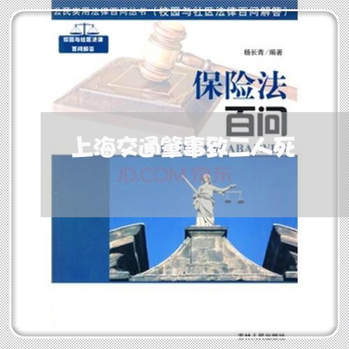 上海交通肇事致二人死/2023021254734 上海交通肇事致二人死/2023021254734