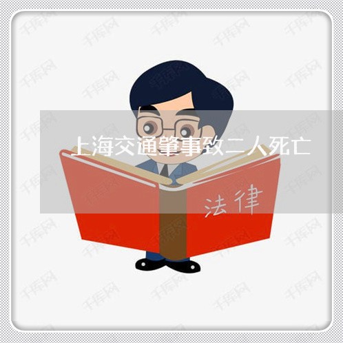 上海交通肇事致二人死亡/2023022832482