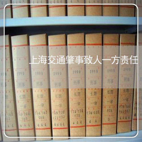 上海交通肇事致人一方责任/2023031727353 上海交通肇事致人一方责任/2023031727353