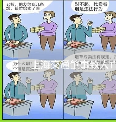 上海交通肇事致人亡全责赔偿/2023033097159