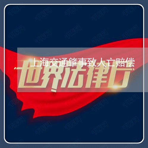 上海交通肇事致人亡赔偿/2023022816148 上海交通肇事致人亡赔偿/2023022816148