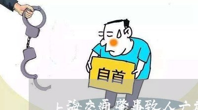 上海交通肇事致人亡超过7天/2023033072574 上海交通肇事致人亡超过7天/2023033072574
