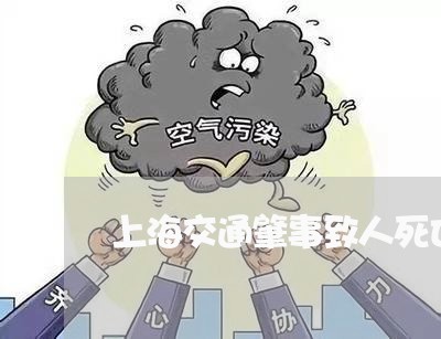 上海交通肇事致人死亡5人/2023031838361 上海交通肇事致人死亡5人/2023031838361
