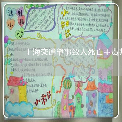 上海交通肇事致人死亡主责判/2023033051693 上海交通肇事致人死亡主责判/2023033051693