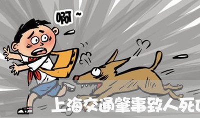 上海交通肇事致人死亡免诉/2023031747482 上海交通肇事致人死亡免诉/2023031747482