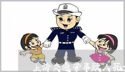 上海交通肇事致人死亡再逃逸/2023033084848