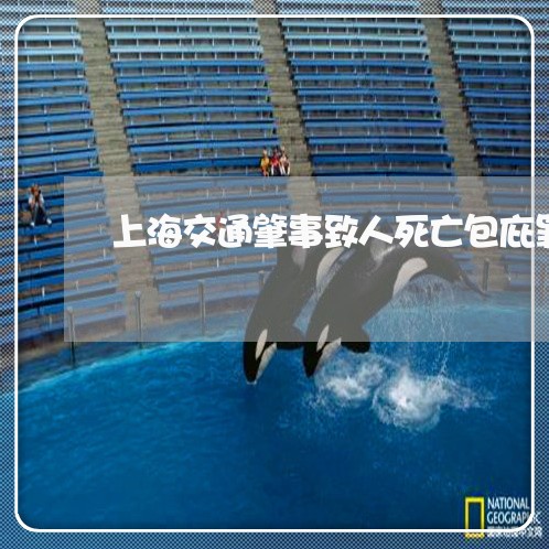上海交通肇事致人死亡包庇罪/2023033094616