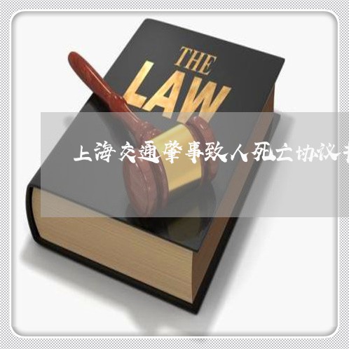 上海交通肇事致人死亡协议书/2023033085937