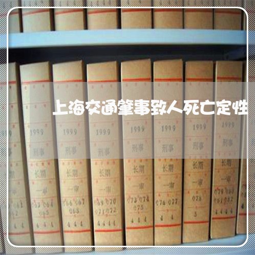 上海交通肇事致人死亡定性/2023031792727