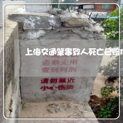 上海交通肇事致人死亡已赔偿/2023033060603