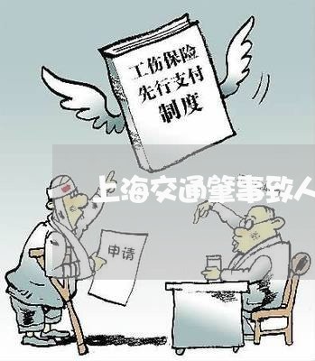上海交通肇事致人死亡庭审/2023033059374
