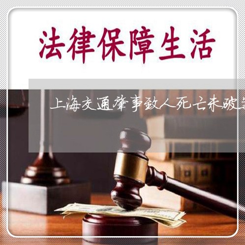 上海交通肇事致人死亡未破案/2023033094836