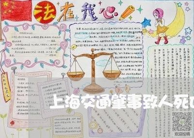 上海交通肇事致人死亡的受/2023031741693