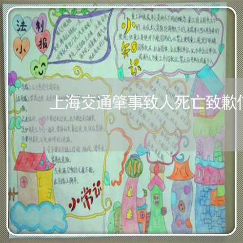 上海交通肇事致人死亡致歉信/2023033050503