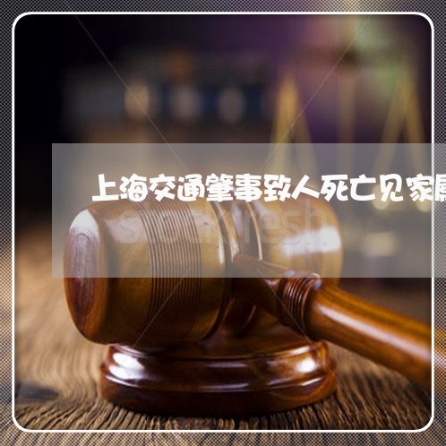 上海交通肇事致人死亡见家属/2023033050570 上海交通肇事致人死亡见家属/2023033050570