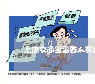 上海交通肇事致人死亡驾驶员/2023033005826