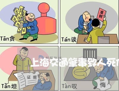 上海交通肇事致人死伤/2023021220392 上海交通肇事致人死伤/2023021220392