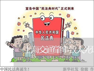 上海交通肇事致人死取保候审/2023033098348