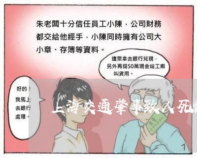 上海交通肇事致人死忙/2023021240382 上海交通肇事致人死忙/2023021240382