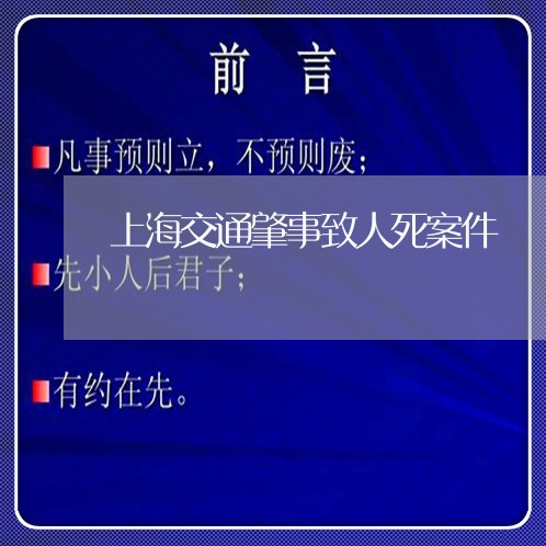 上海交通肇事致人死案件/2023022863693 上海交通肇事致人死案件/2023022863693
