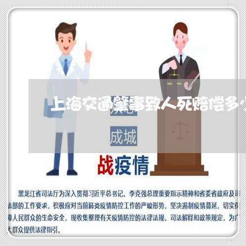上海交通肇事致人死赔偿多少/2023033029504
