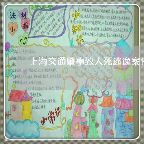 上海交通肇事致人死逃逸案例/2023033060692