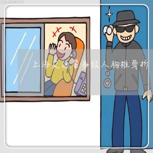 上海交通肇事致人胸椎骨折/2023033136057
