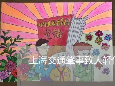 上海交通肇事致人轻伤逃逸自首/2023060450614 上海交通肇事致人轻伤逃逸自首/2023060450614