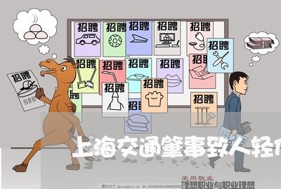 上海交通肇事致人轻伤醉酒逃逸/2023060467471