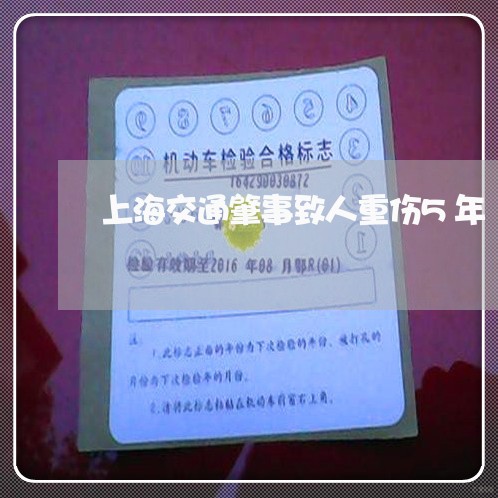 上海交通肇事致人重伤5年/2023031724715