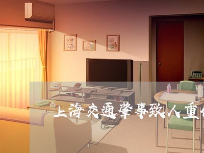 上海交通肇事致人重伤一级/2023031759294