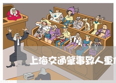 上海交通肇事致人重伤死亡/2023031718381