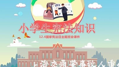 上海交通肇事致人重伤的理解/2023033005060 上海交通肇事致人重伤的理解/2023033005060