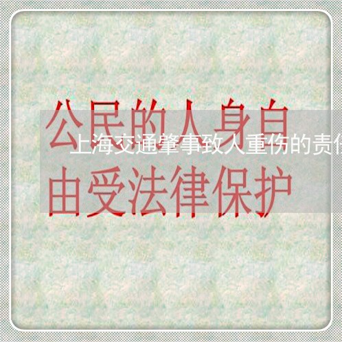 上海交通肇事致人重伤的责任/2023033074039 上海交通肇事致人重伤的责任/2023033074039