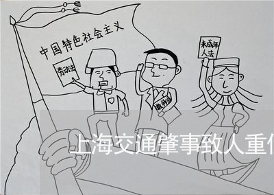 上海交通肇事致人重伤驾驶证/2023033016159 上海交通肇事致人重伤驾驶证/2023033016159