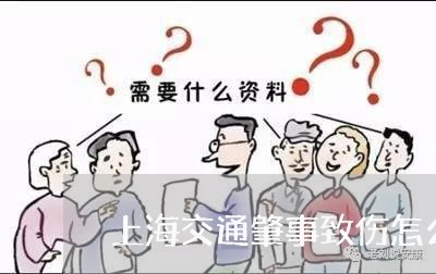 上海交通肇事致伤怎么处理/2023031719371