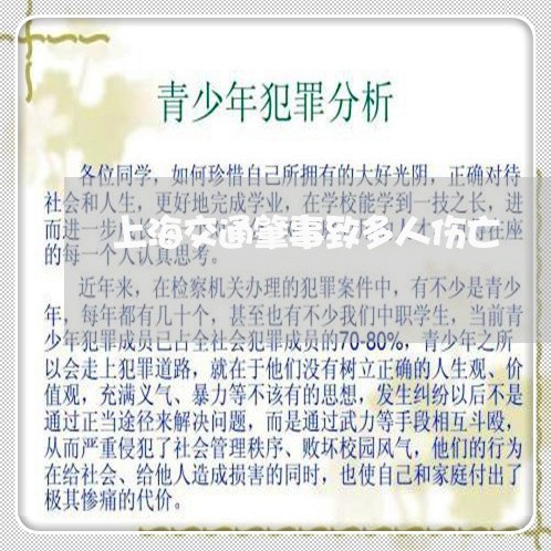 上海交通肇事致多人伤亡/2023022829369