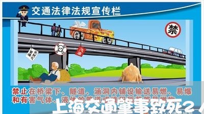 上海交通肇事致死2人缓刑/2023031774793