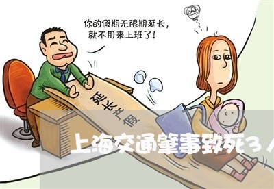 上海交通肇事致死3人/2023021217138
