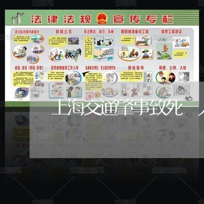 上海交通肇事致死一人主责/2023031780591 上海交通肇事致死一人主责/2023031780591