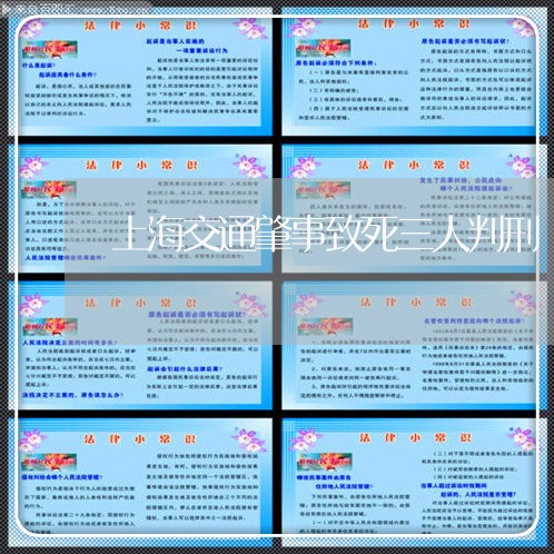 上海交通肇事致死三人判刑/2023031740271 上海交通肇事致死三人判刑/2023031740271