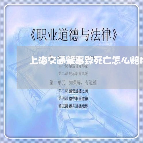 上海交通肇事致死亡怎么赔偿/2023033029592