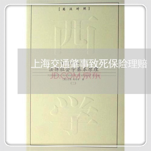 上海交通肇事致死保险理赔/2023031796949 上海交通肇事致死保险理赔/2023031796949